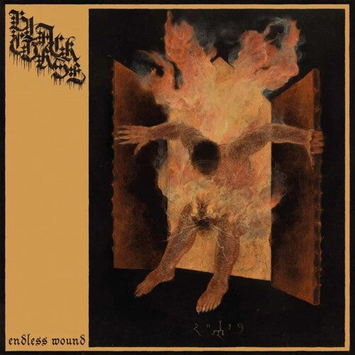 Picture of the Music Record - Endless Wound by Black Curse
