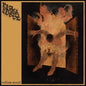 Picture of the Music Record - Endless Wound by Black Curse