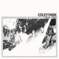 Image of the Music Record - Devil Tree [Import] by Coley Park