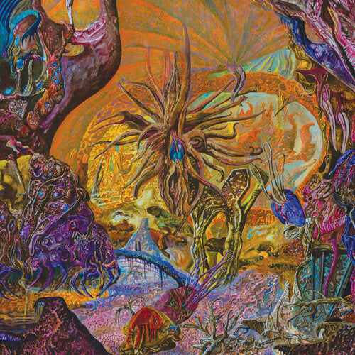 Image of the Music Record - Chytridiomycosis Relinquished - Orange/ royal Blue by Slimelord