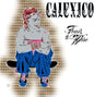Picture of the Music Record - Feast of Wire (Bonus Track Version) by Calexico