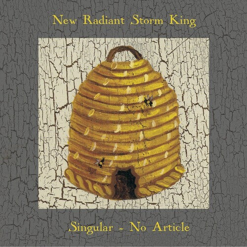 Picture of the Music Record - Singular, No Article by New Radiant Storm King