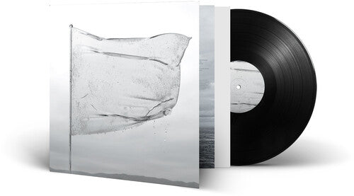 Picture of the Music Record - The Shape of Fluidity by Dool