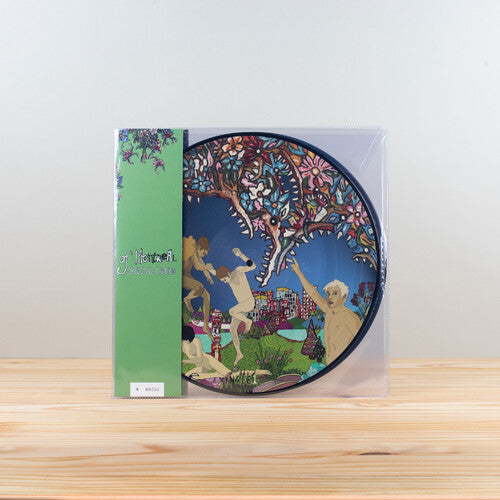 Picture of the Music Record - Skeletal Lamping (Picture Disc Edition) by Of Montreal