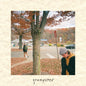 Picture of the Music Record - Grumpster by Grumpster