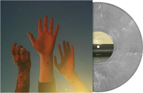 Picture of the Music Record - Record - Silver Marble Colored Vinyl [Import] by BOYGENIUS