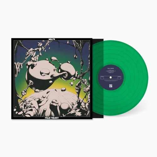 Picture of the Music Record - Field Theory by Melts
