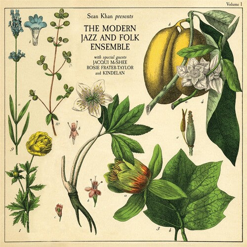 Image of the Music Record - Sean Khan Presents The Modern Jazz & Folk Ensemble by Sean Khan & The Modern Jazz & Folk Ensemble