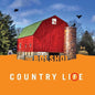Picture of the Music Record - Country Life by The Bolshoi
