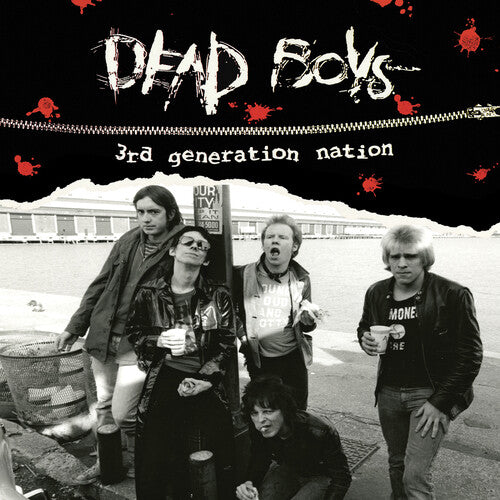 Picture of the Music Record - 3rd Generation Nation by Dead Boys