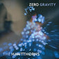 Picture of the Music Record - Zero Gravity by Hawtthorns