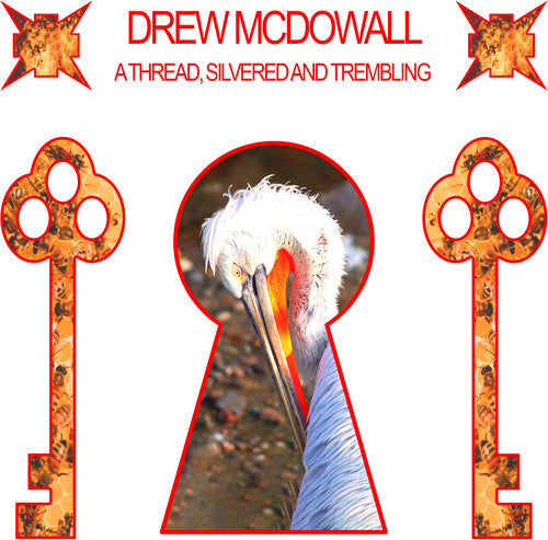 Picture of the Music Record - A Thread, Silvered and Trembling by Drew McDowall