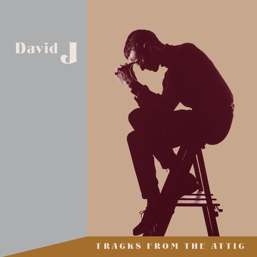 Picture of the Music Record - Tracks From The Attic by David J