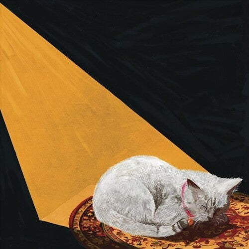 Image of the Music Record - Permanent Pleasure by Joywave