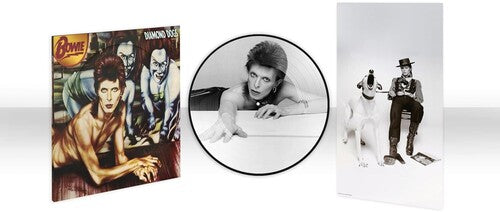 Picture of the Music Record - Diamond Dogs (50th Anniversary Picture Disc) by David Bowie