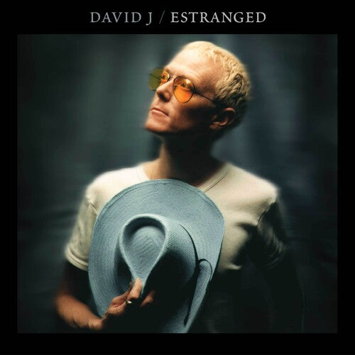 Picture of the Music Record - Estranged by David J