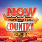 Picture of the Music Record - NOW Country 17 (Various Artists) by The Now