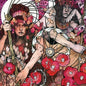 Picture of the Music Record - Red Album by Baroness