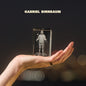 Picture of the Music Record - Patron Saint of Tireless Losers by Gabriel Birnbaum