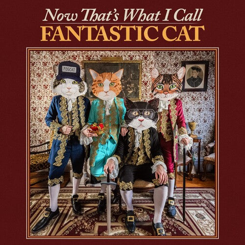 Picture of the Music Record - Now That's What I Call Fantastic Cat by Fantastic Cat