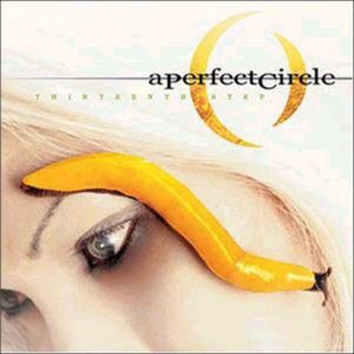 Picture of the Music Record - Thirteenth Step by A Perfect Circle